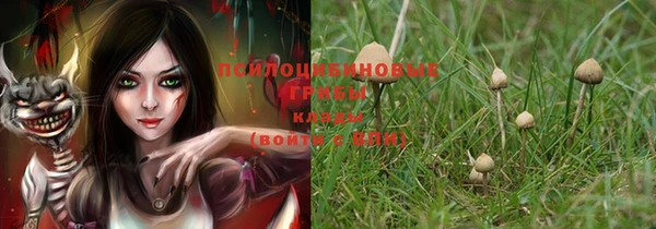 ECSTASY Навашино