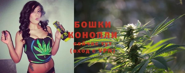 ECSTASY Навашино