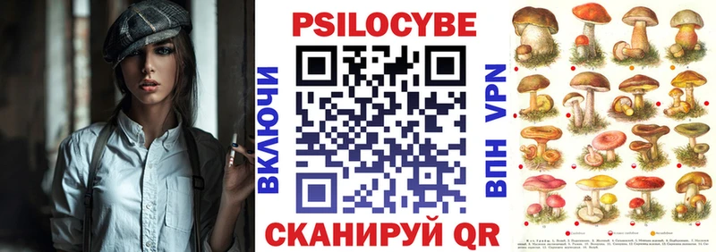 Псилоцибиновые грибы Cubensis  Купить  Нелидово 